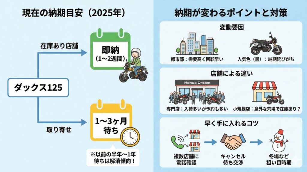 ダックス125の納期状況と最新の在庫傾向について