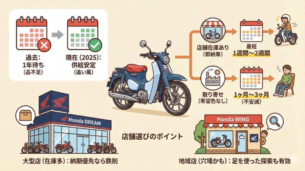 新型スーパーカブC125（2025）の納期を調査